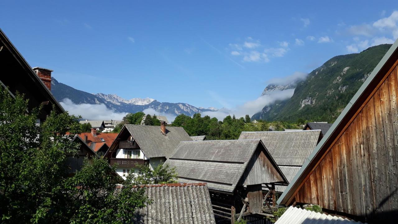 Apartments & Hostel Bohinj ภายนอก รูปภาพ