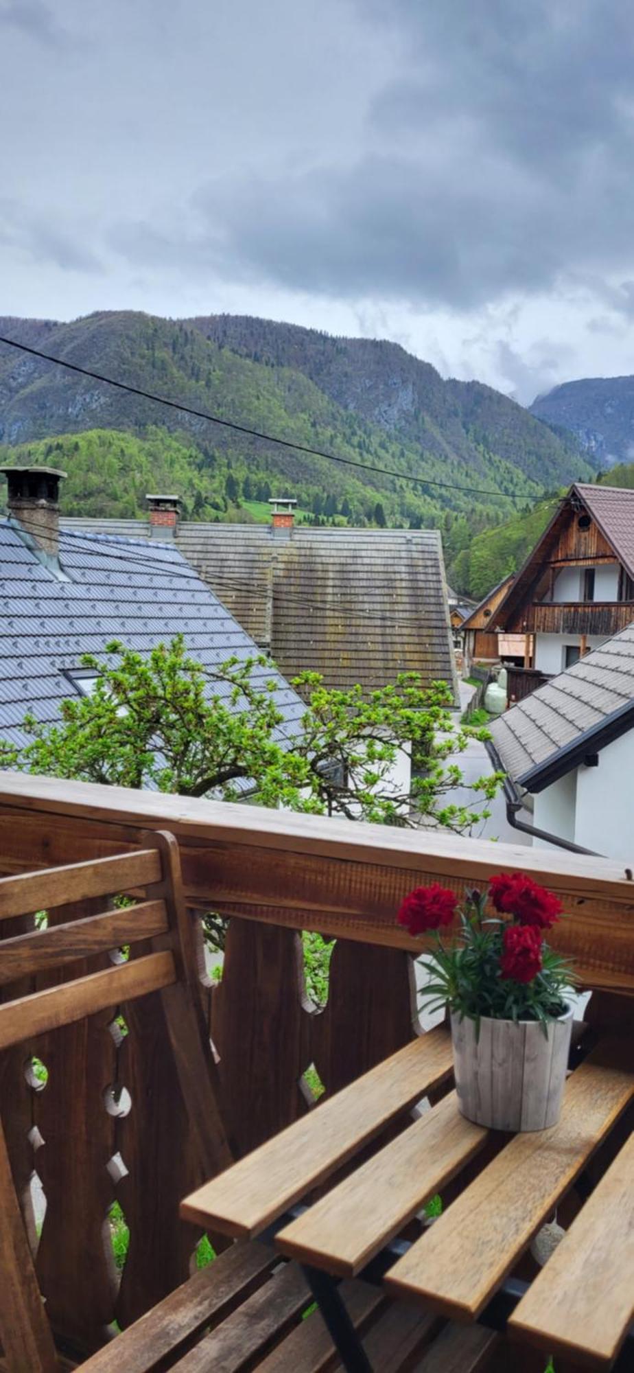 Apartments & Hostel Bohinj ภายนอก รูปภาพ